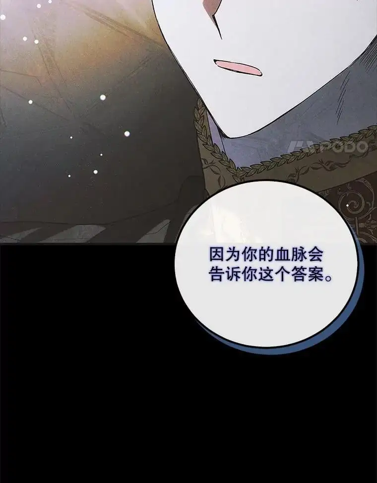 104.公王的预测3