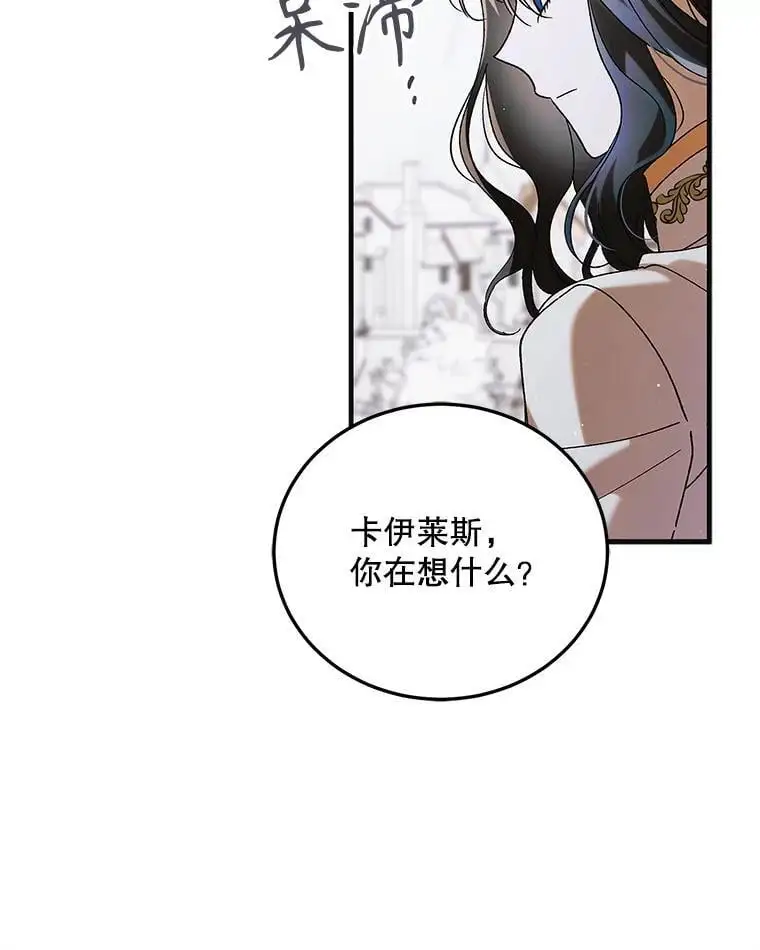 98.卡伊莱斯的猜测77