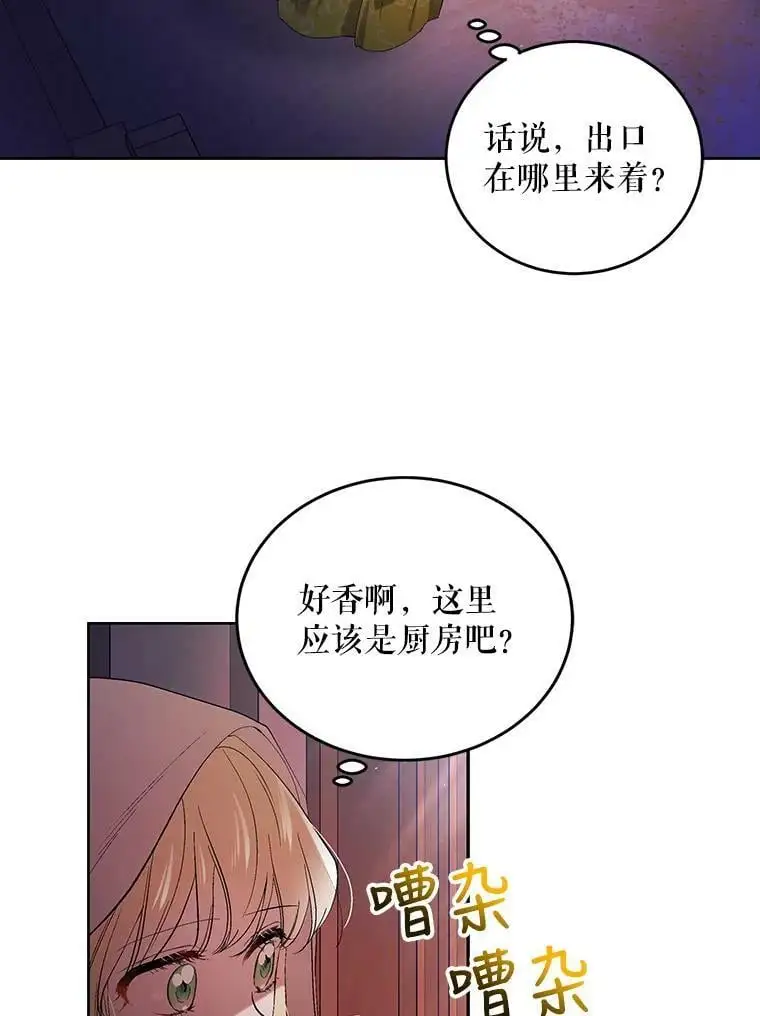 47.第二羽翼诞生1