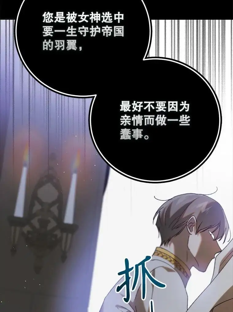 96.卡伊莱斯的过往67