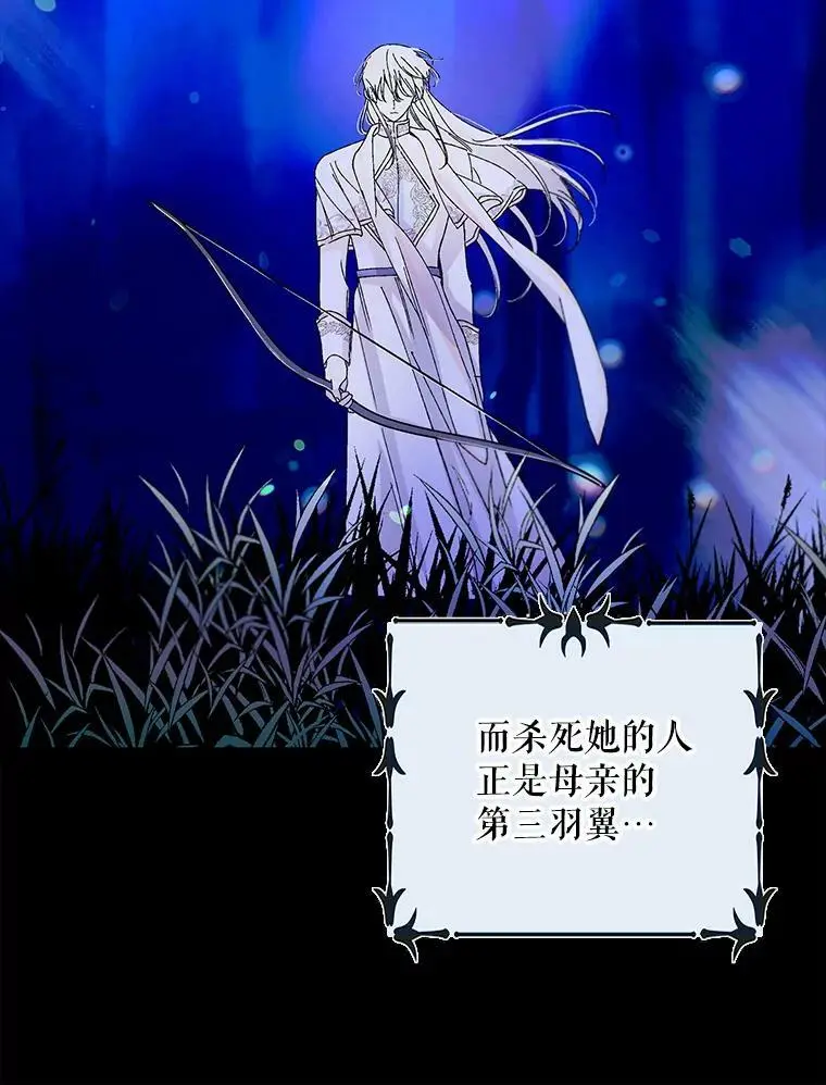 13.第九羽翼的承诺47