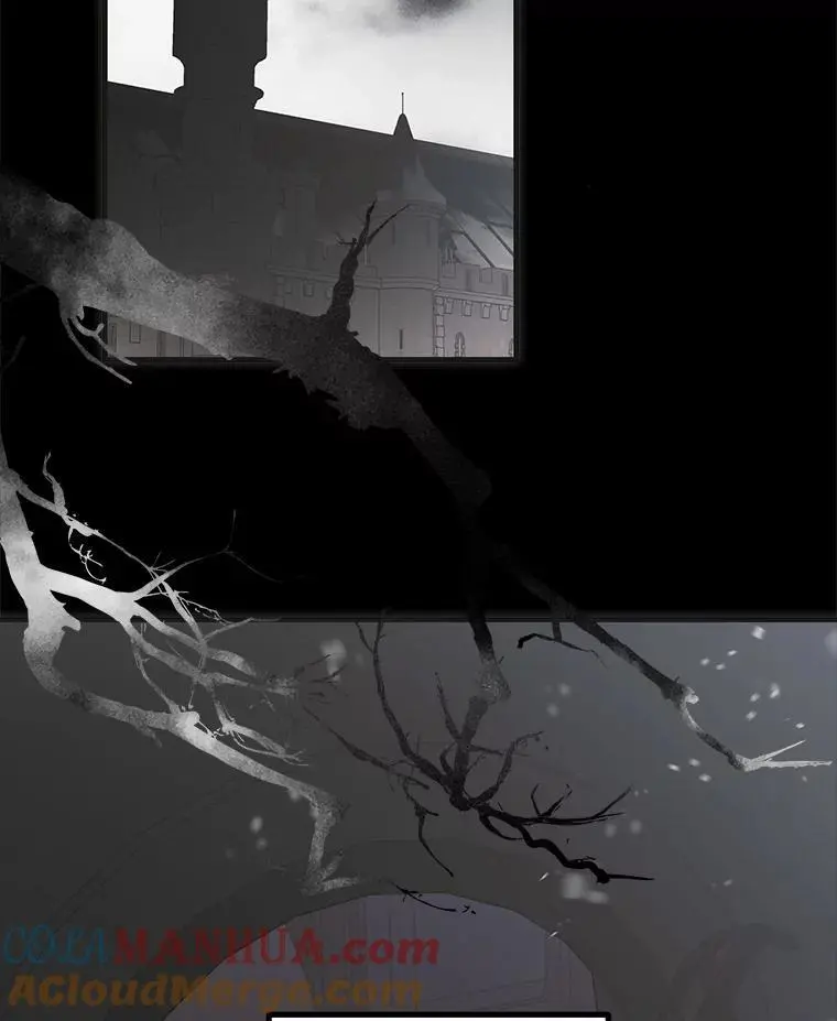 104.公王的预测52