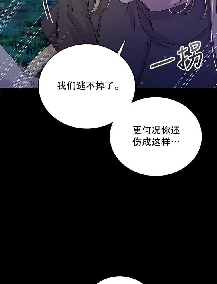 13.第九羽翼的承诺30