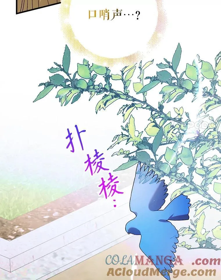 120.问祸青鸟80