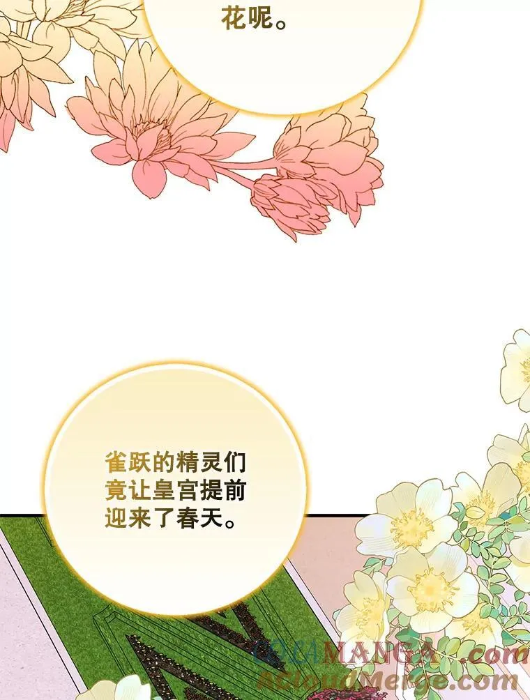120.问祸青鸟56