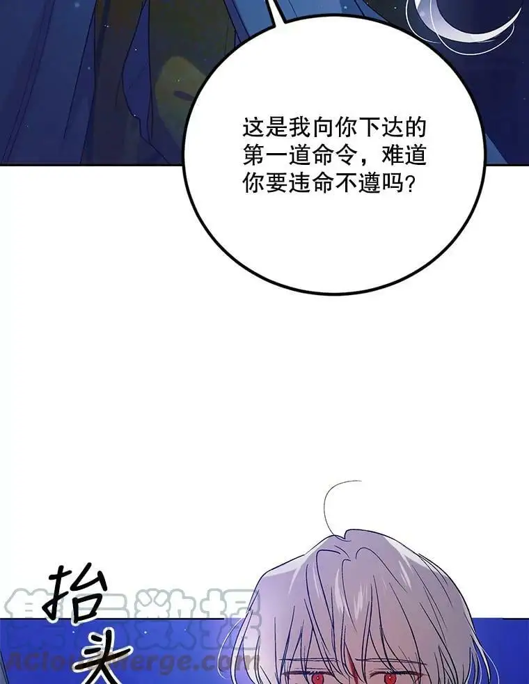 47.第二羽翼诞生36