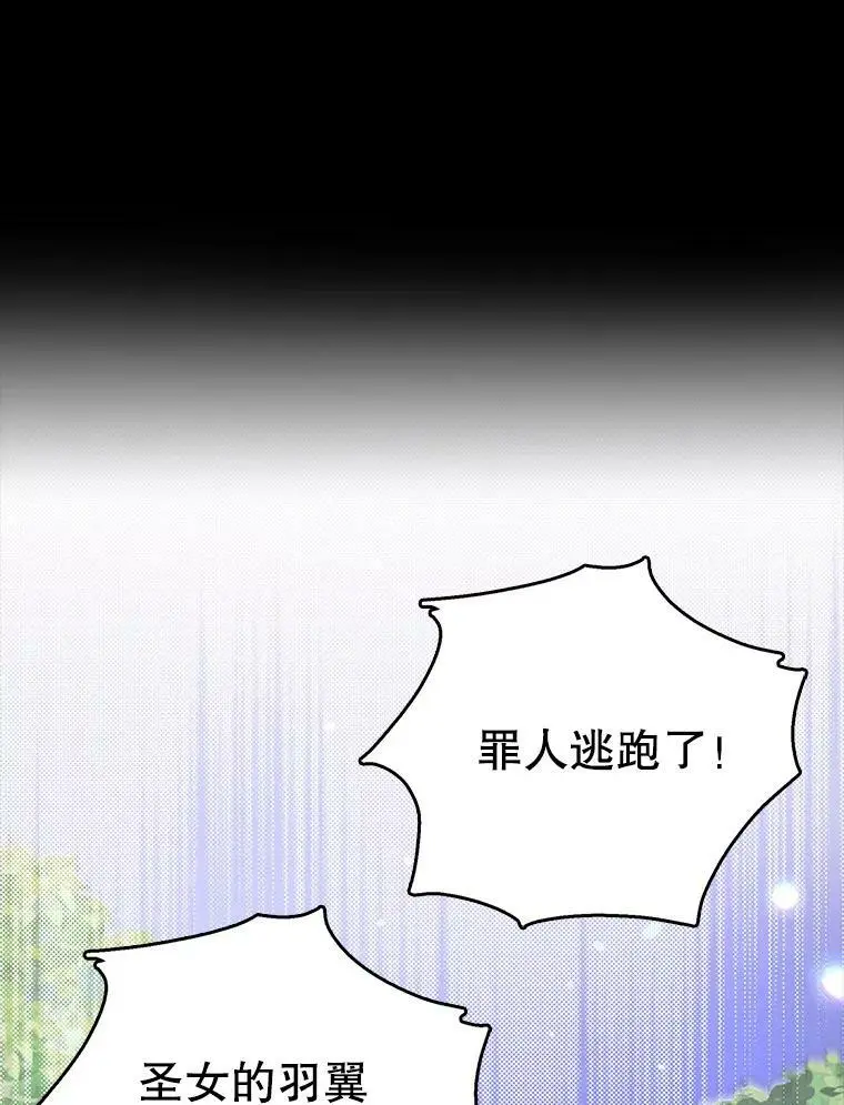 13.第九羽翼的承诺25