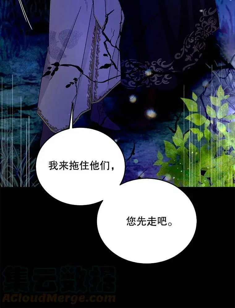 13.第九羽翼的承诺32