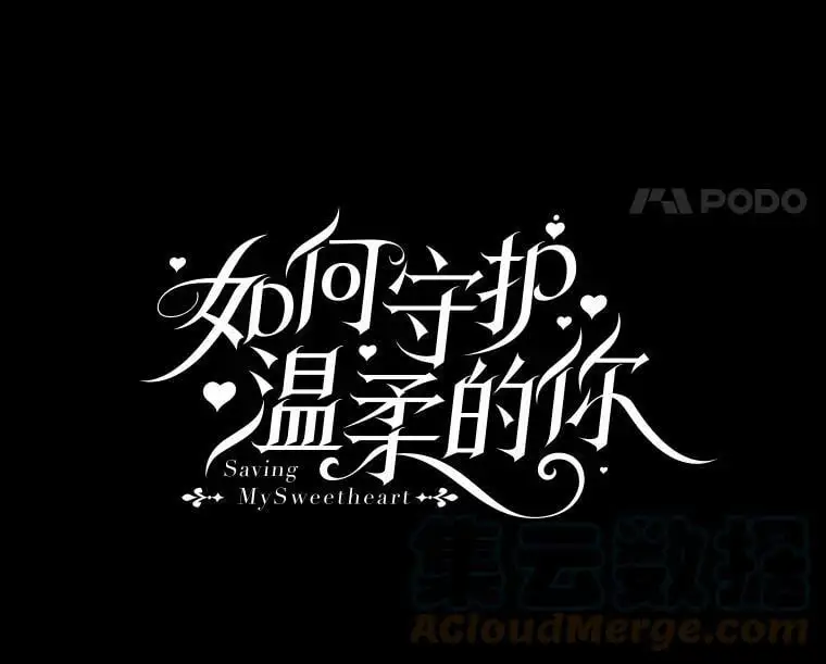 13.第九羽翼的承诺16