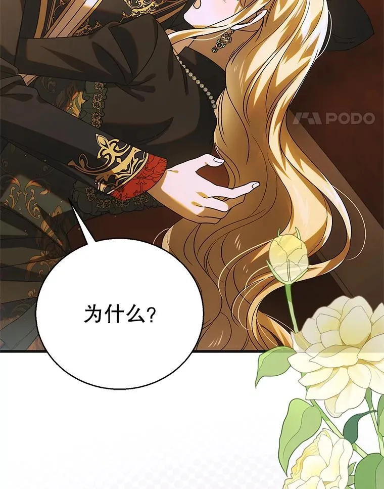 117.冬日花开41