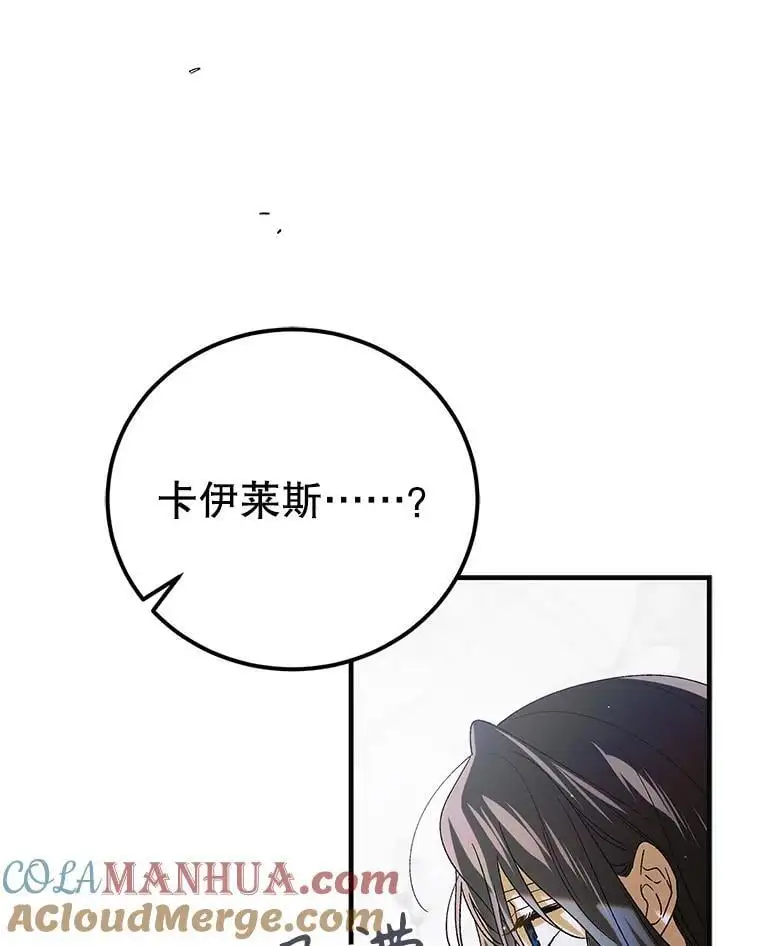 98.卡伊莱斯的猜测76