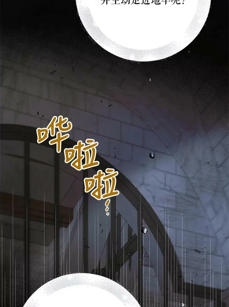 80.解救奥文66