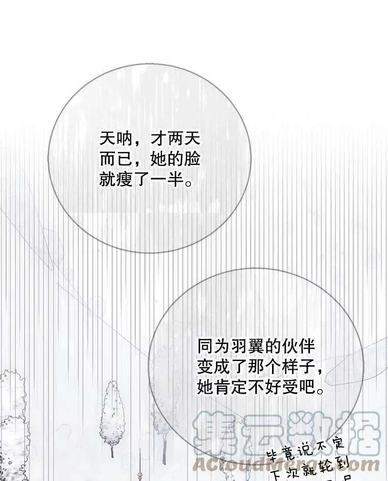 79.怀疑的种子56