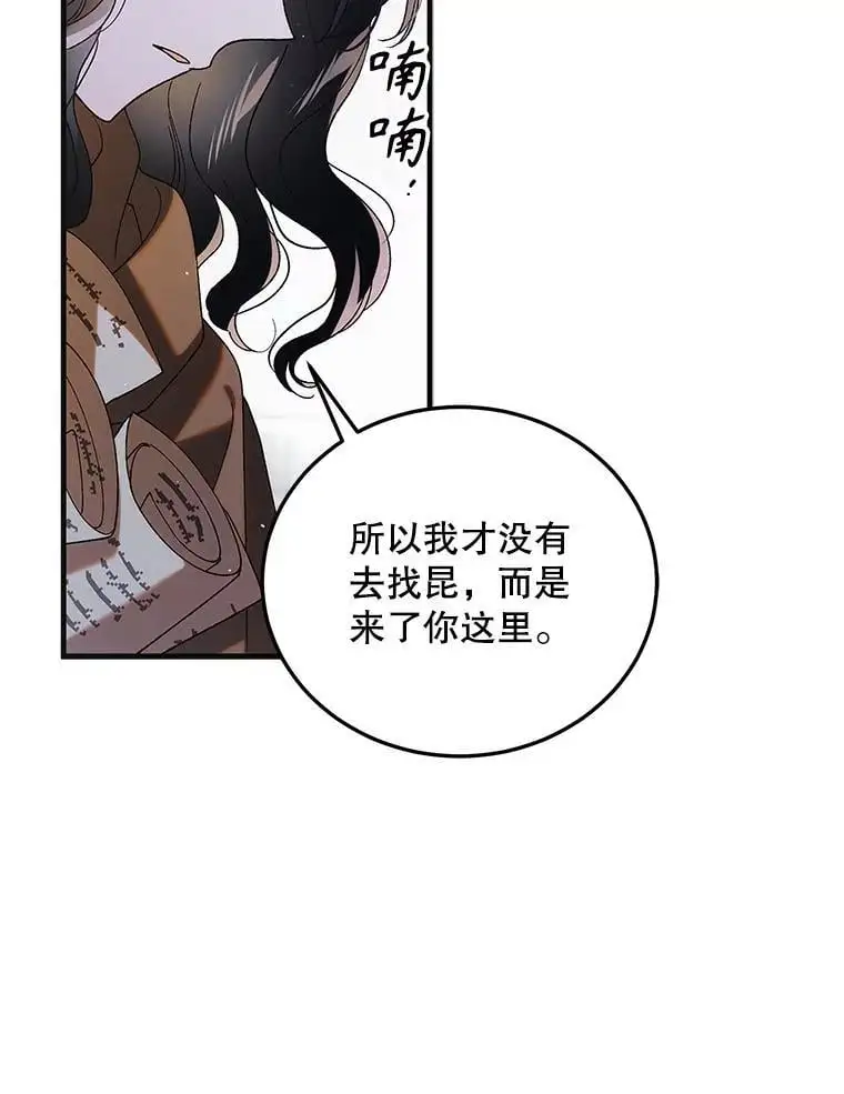 96.卡伊莱斯的过往111