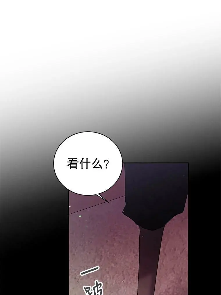29.与使团的初见62
