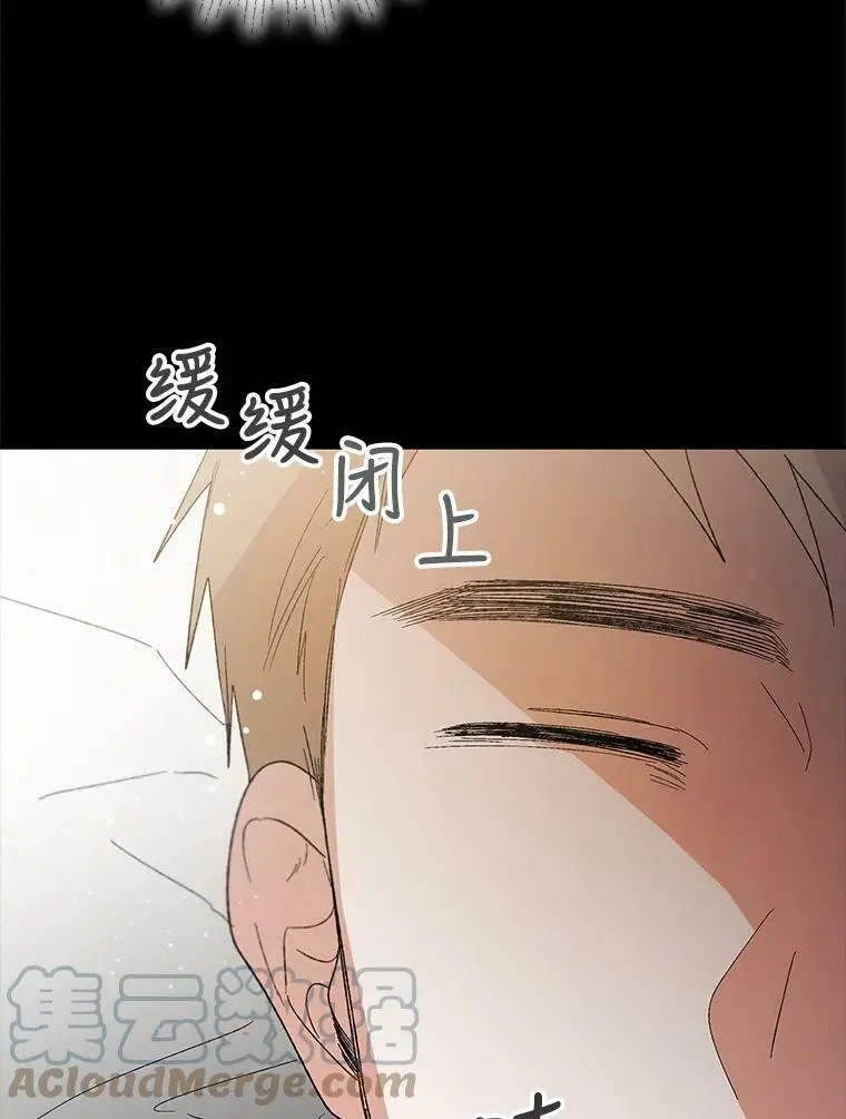 6.草药的阴谋104