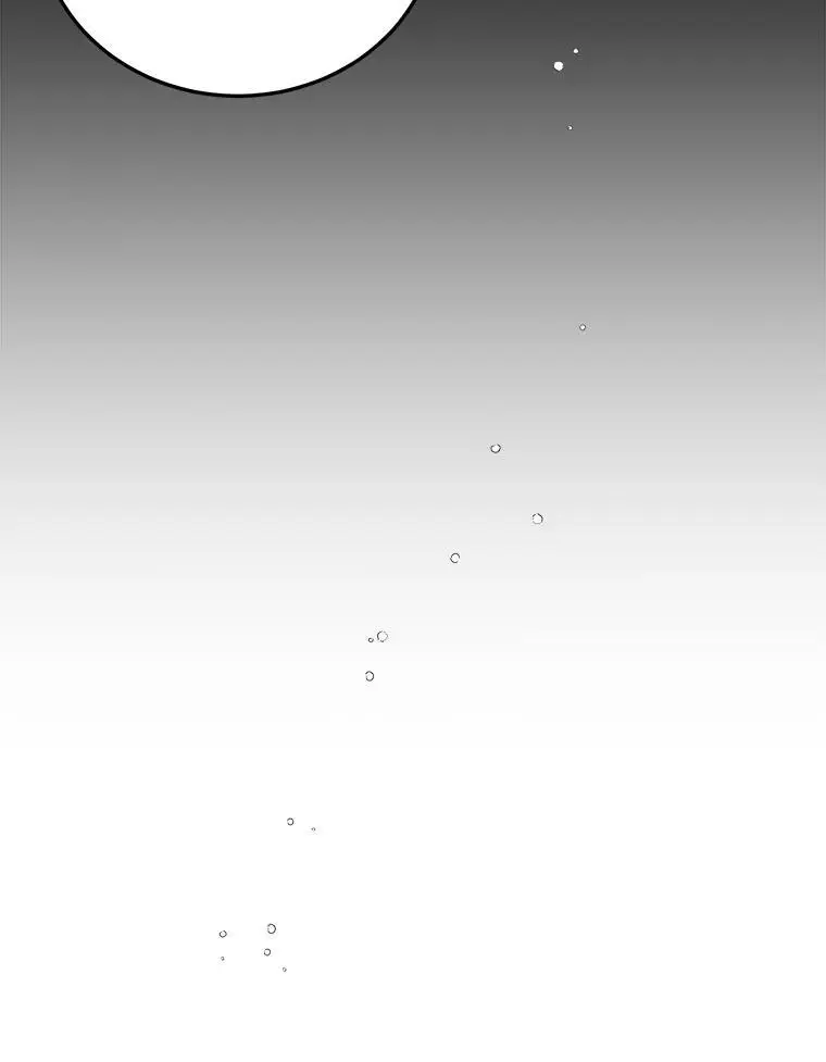 96.卡伊莱斯的过往99