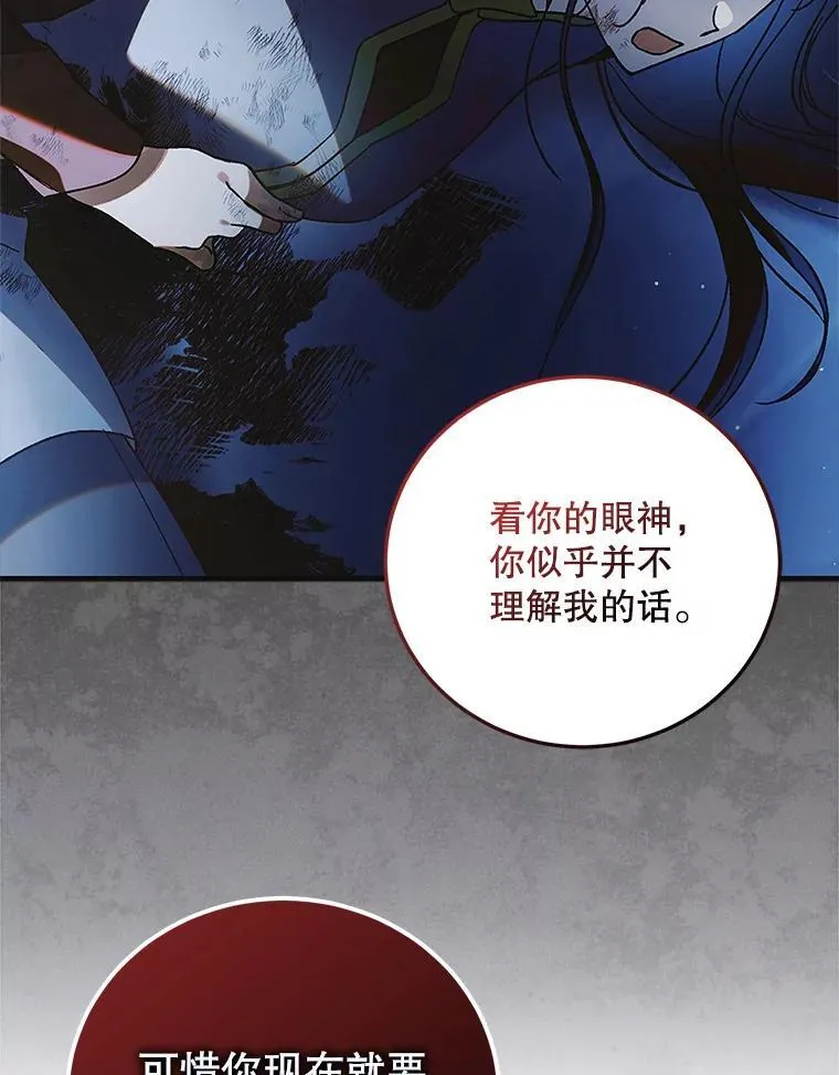 113.无根羽翼27