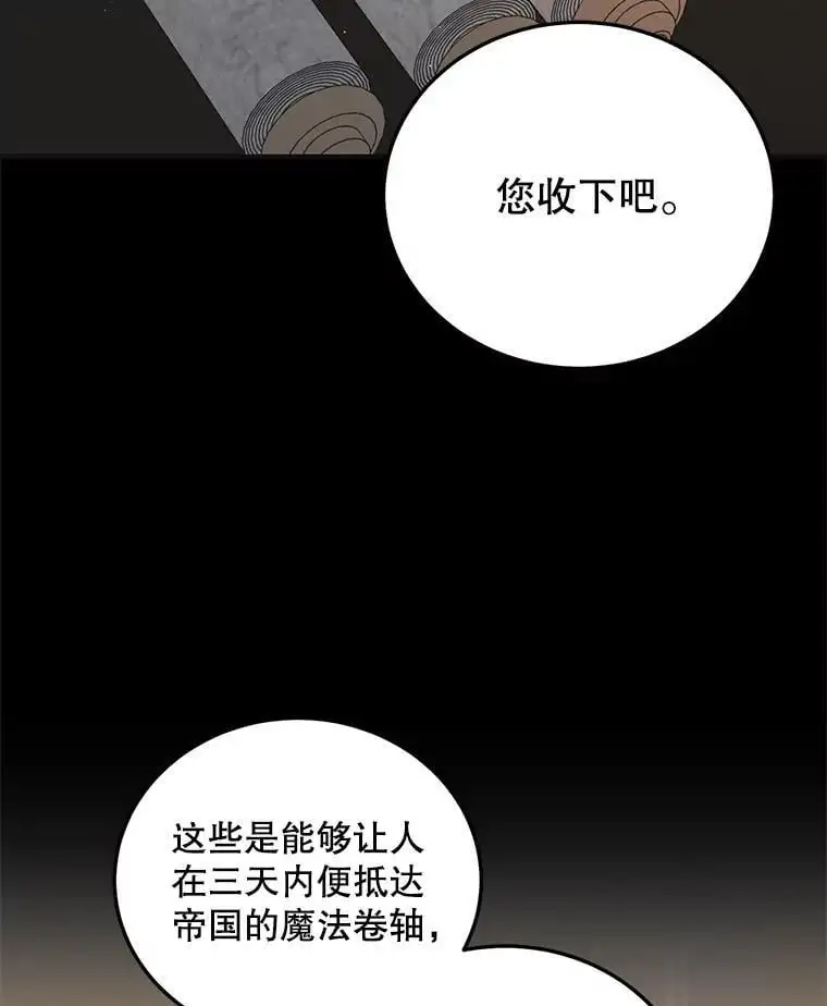 98.卡伊莱斯的猜测117