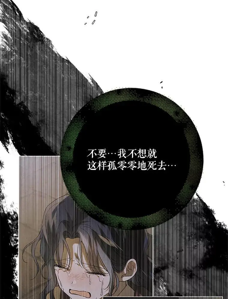 96.卡伊莱斯的过往139