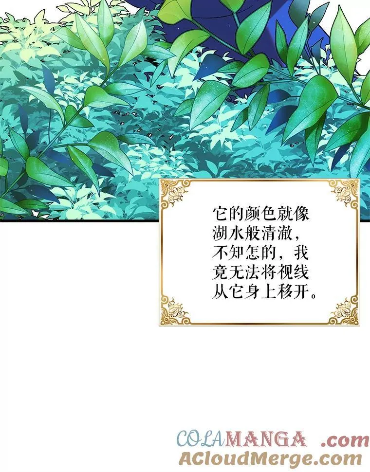 120.问祸青鸟84