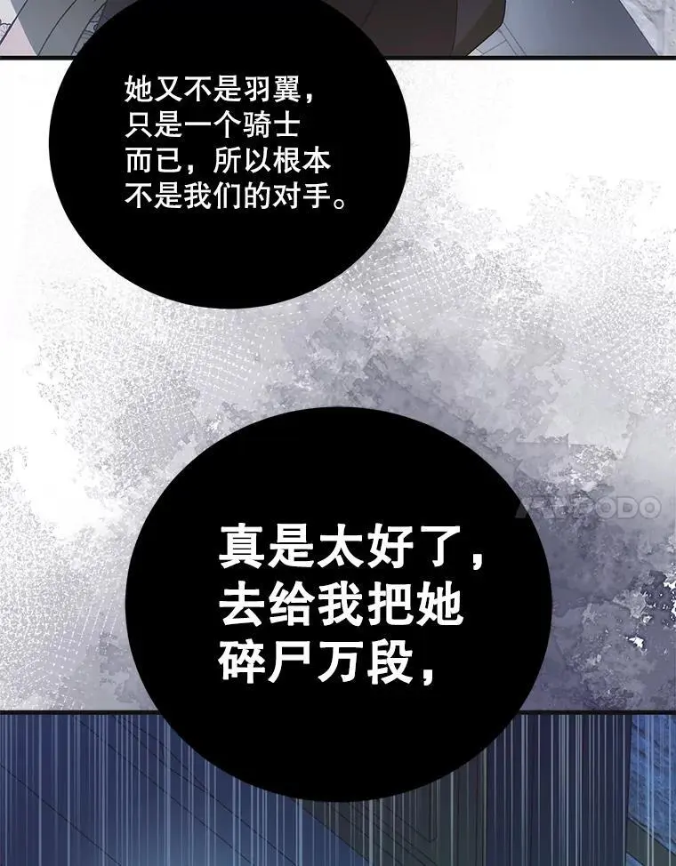 111.生灵折翼87