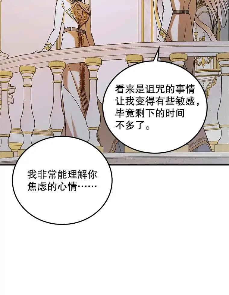 98.卡伊莱斯的猜测113