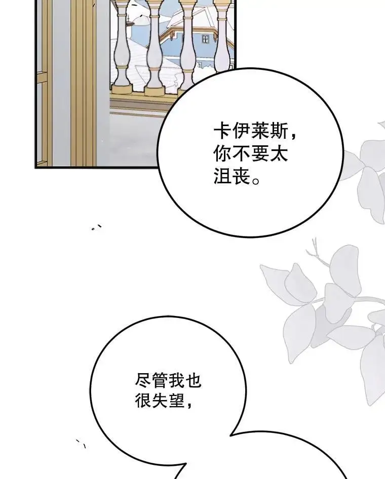 98.卡伊莱斯的猜测73
