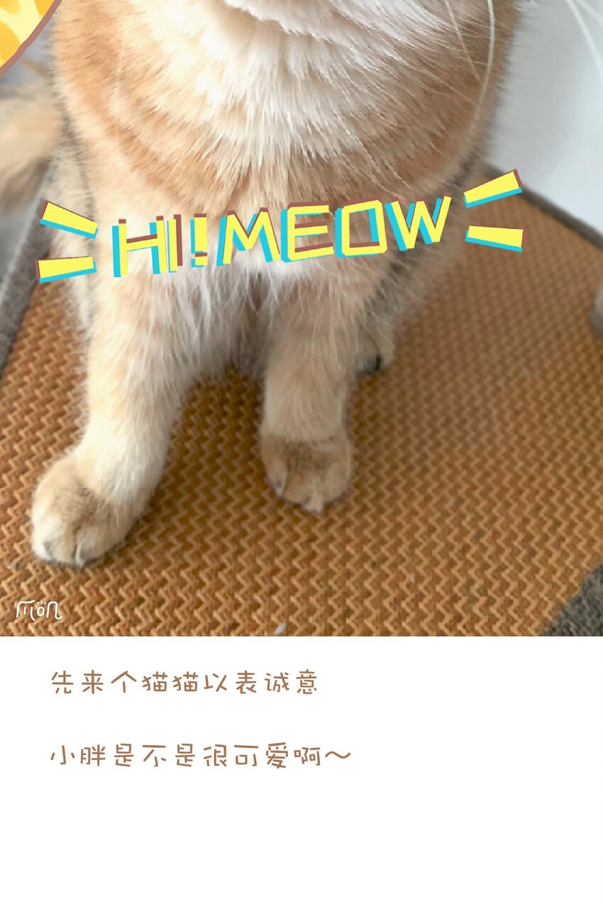 041 我要爽约了57
