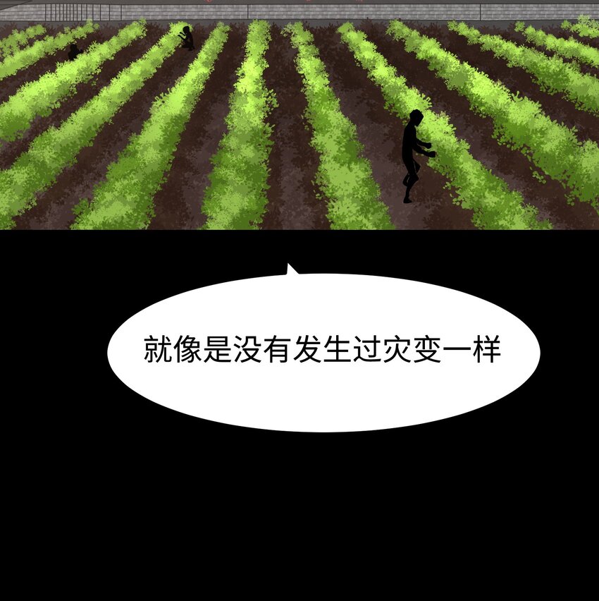 075 未被打扰的城市14