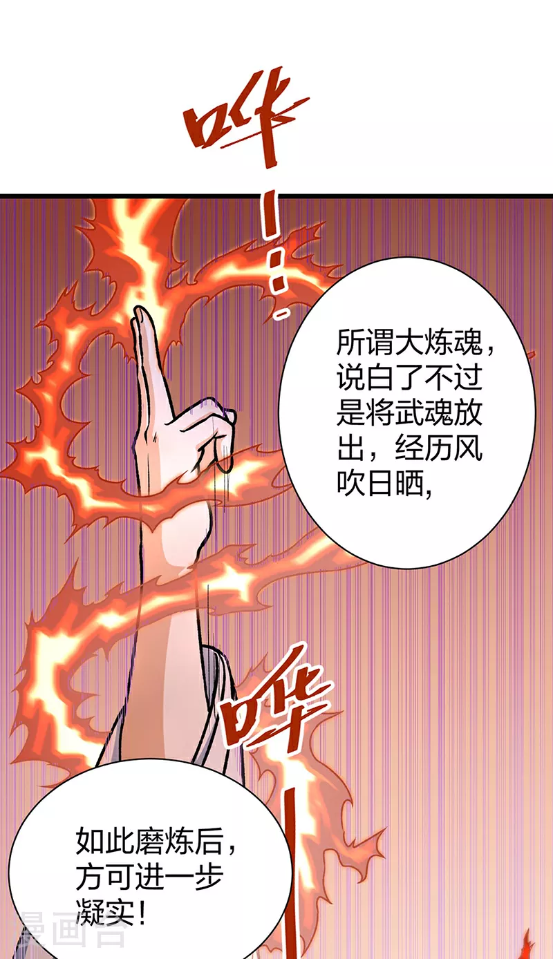 第589话 更上一层，纯阳武魂！13