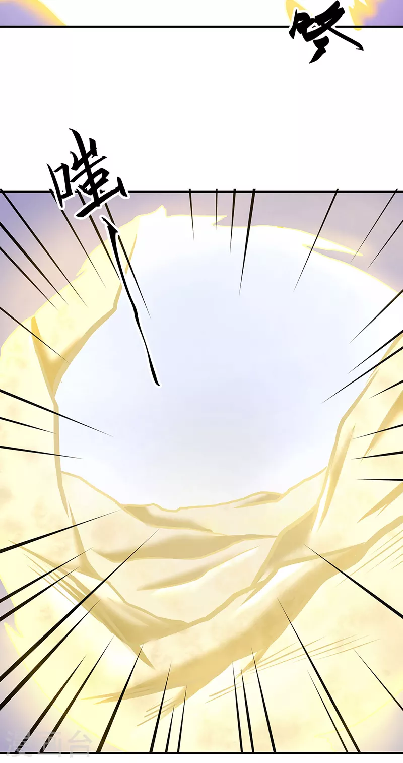 第506话 天地胎盘21