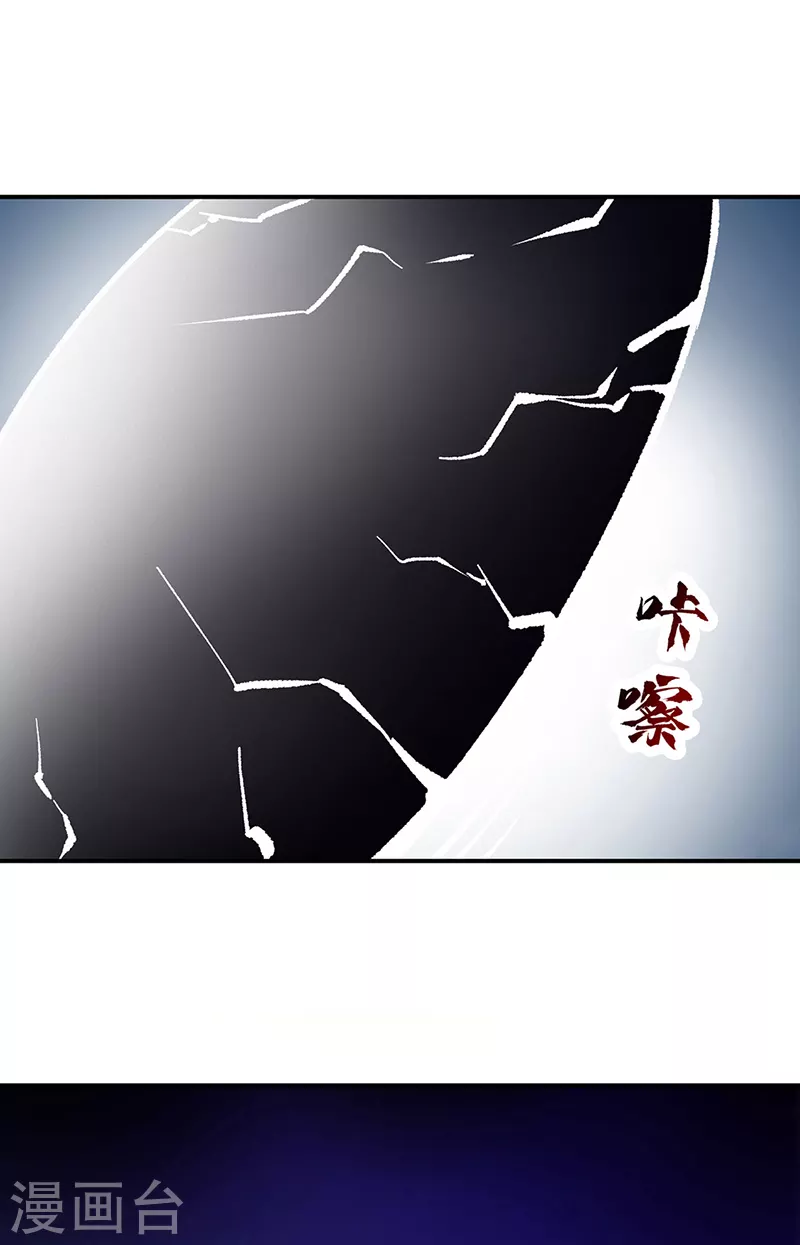 第374话 武君追杀！11