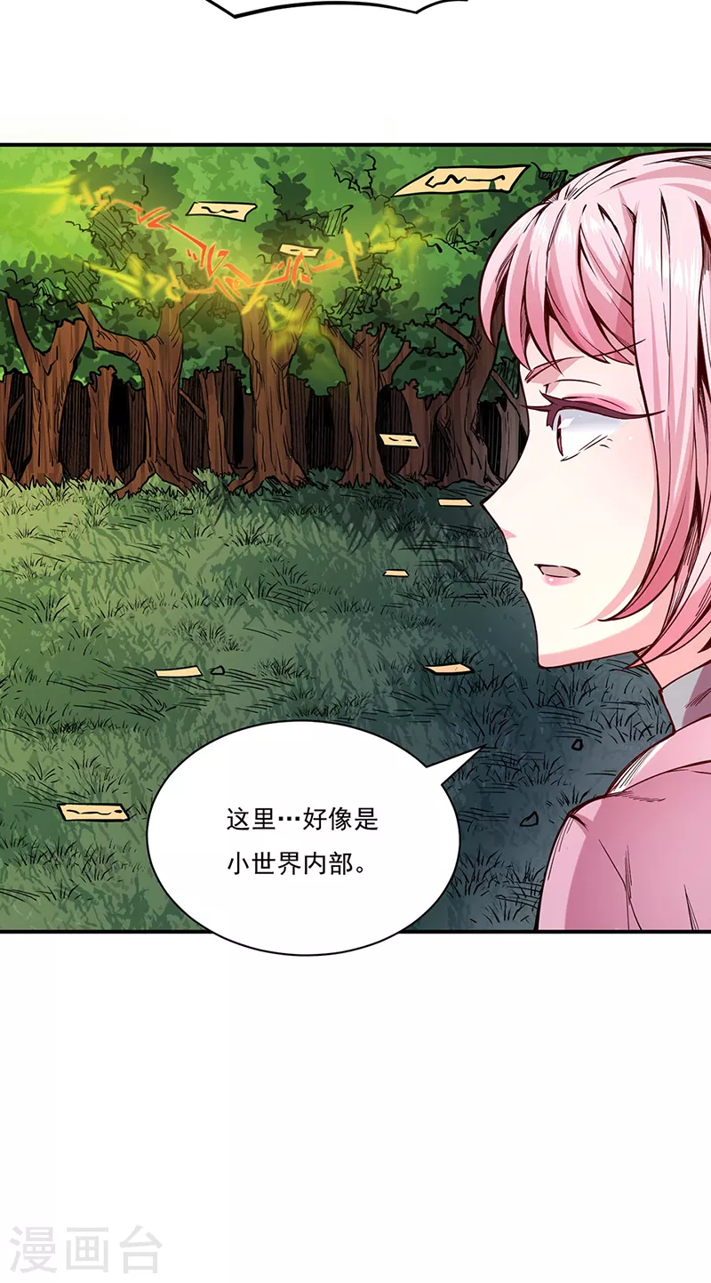 第215话 符阵小世界24