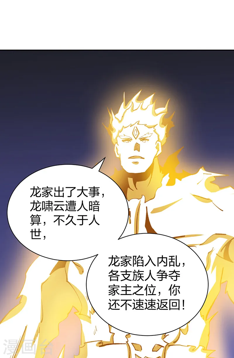 第530话 龙家出事24