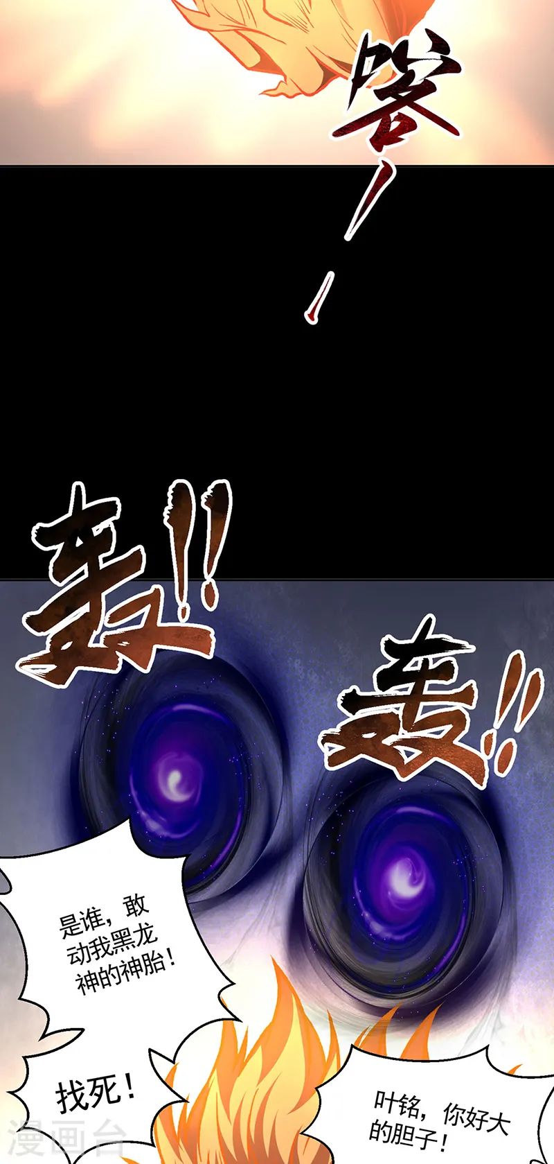 第545话 斩草除根，替代无僵！26