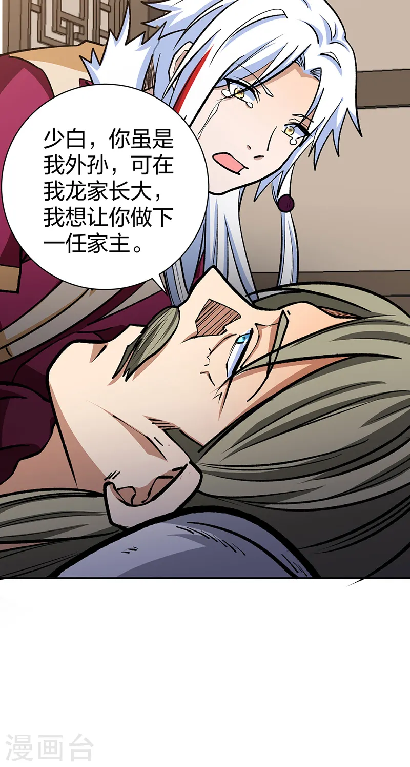 第530话 龙家出事53