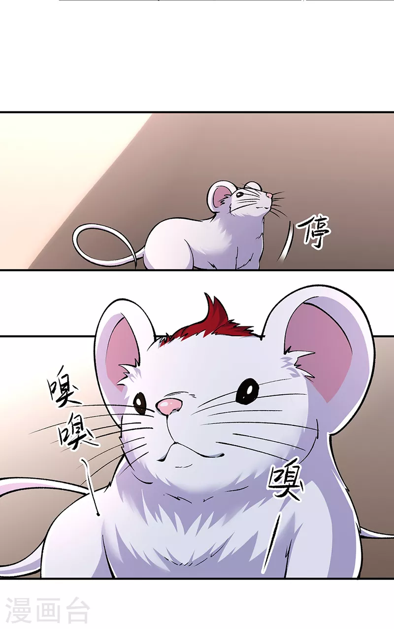 第446话 捅了寻宝鼠窝29