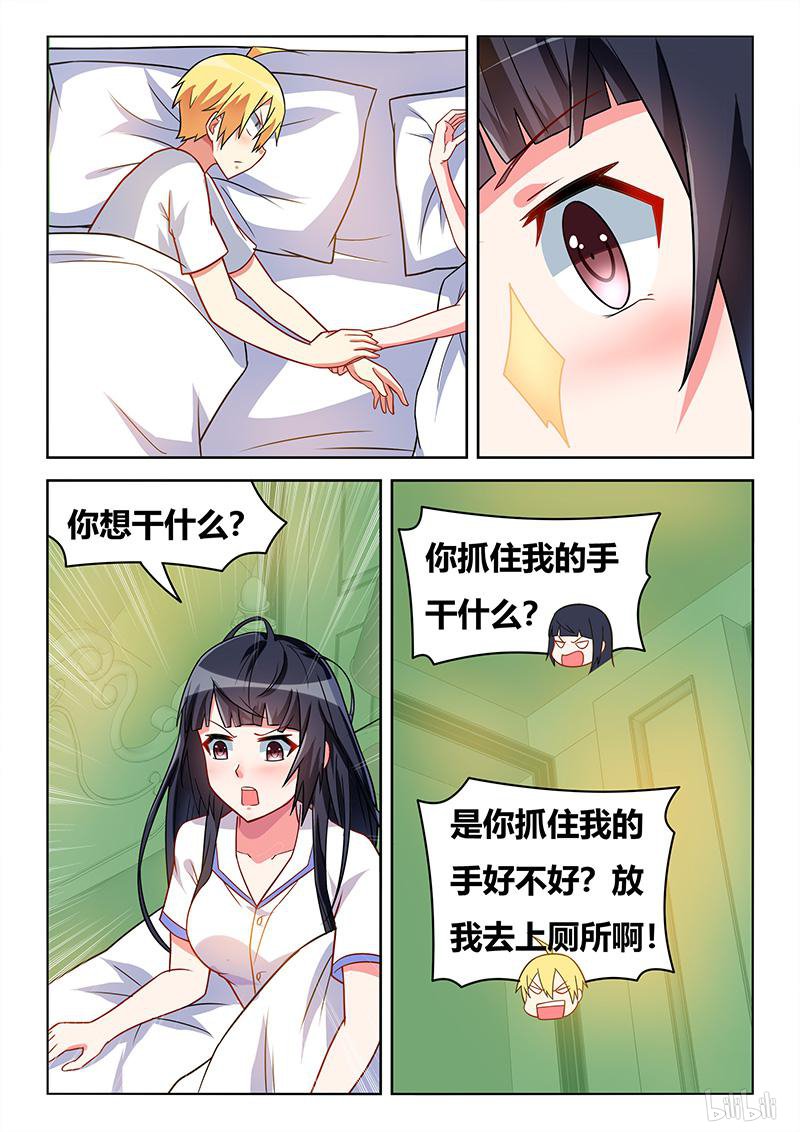 427 以猫为界8
