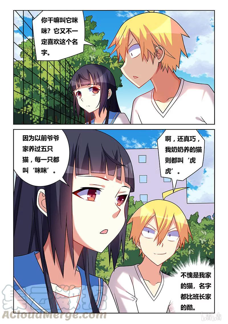 210 舒莎的报酬8