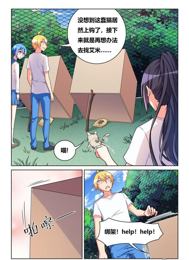 311 艾米捕获装置9