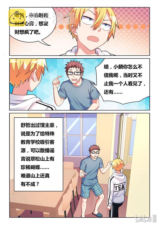 467 蓝闪蝶12