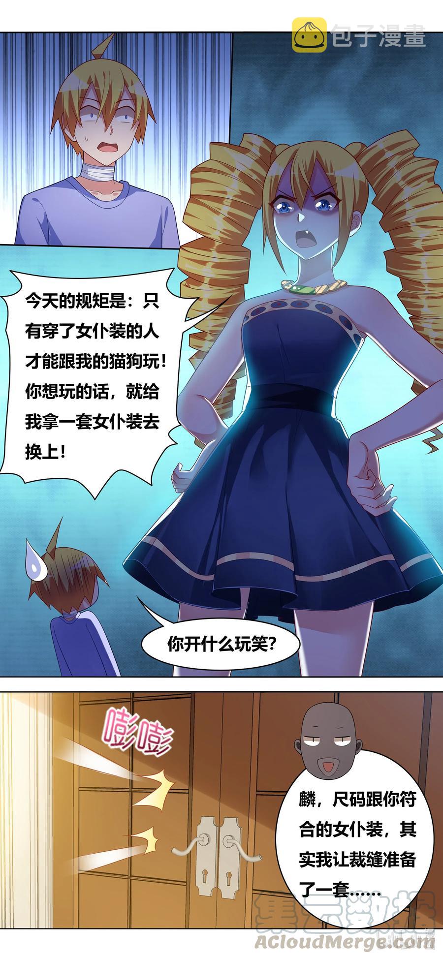 662 猫狗乐园12