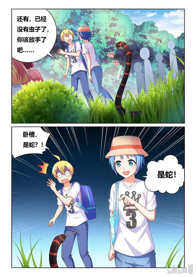 476 胸部守护者5