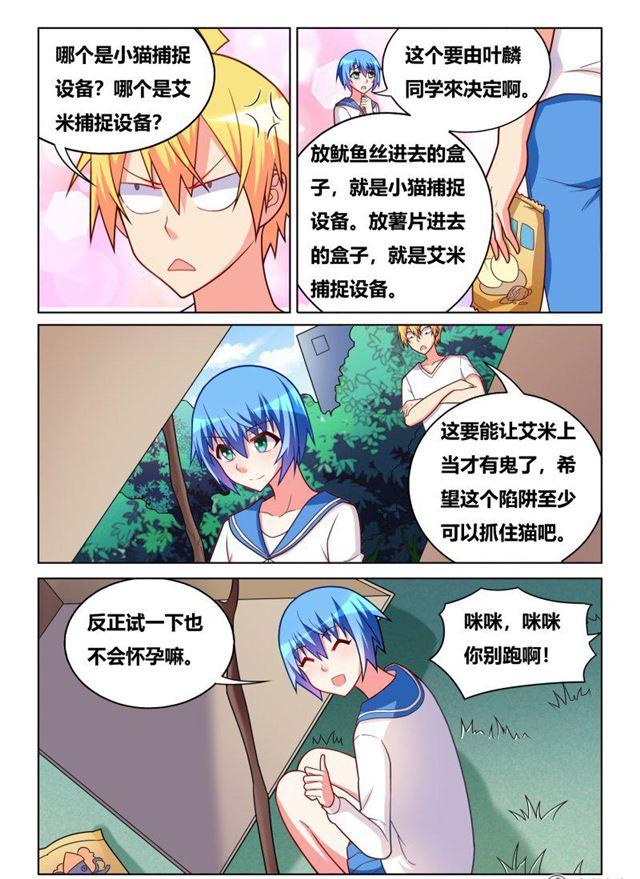 311 艾米捕获装置8
