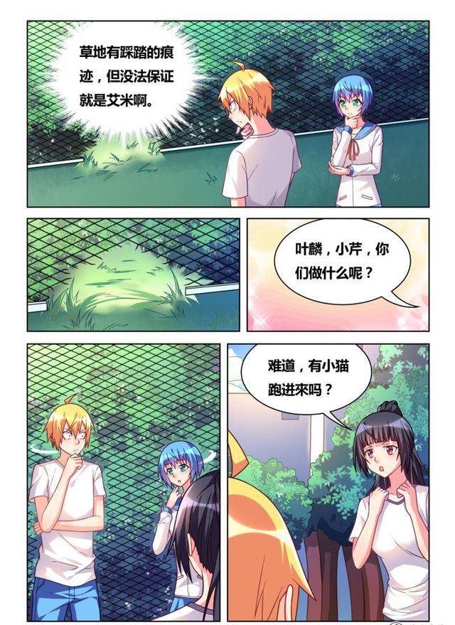 311 艾米捕获装置2