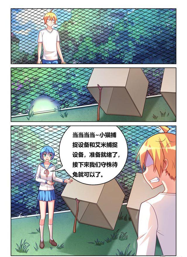 311 艾米捕获装置7