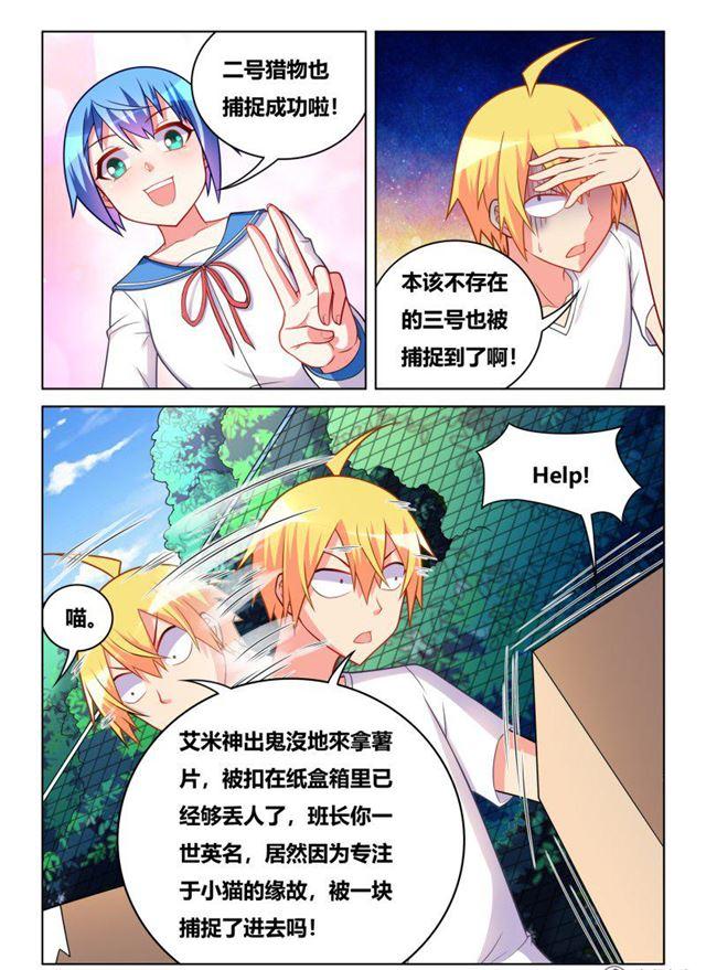 311 艾米捕获装置11