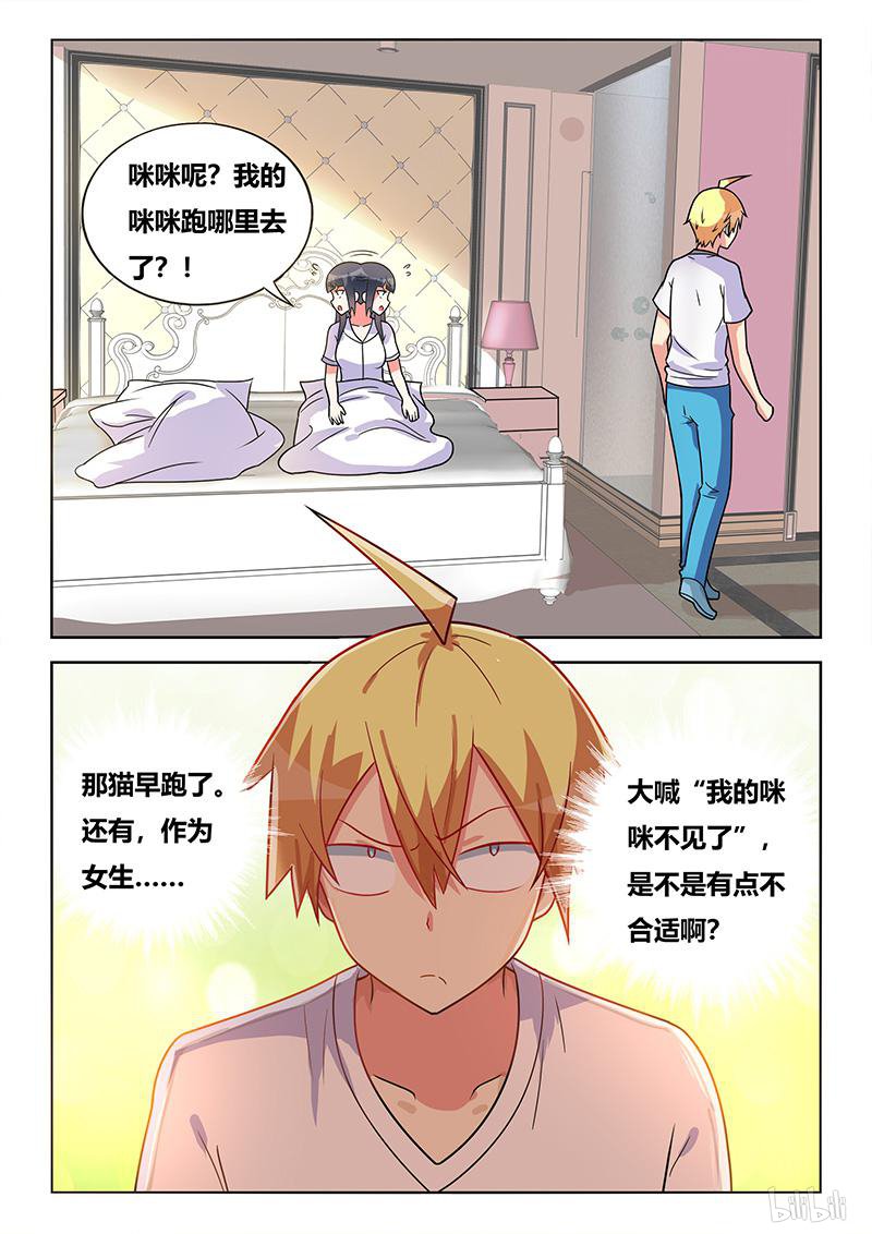 427 以猫为界9