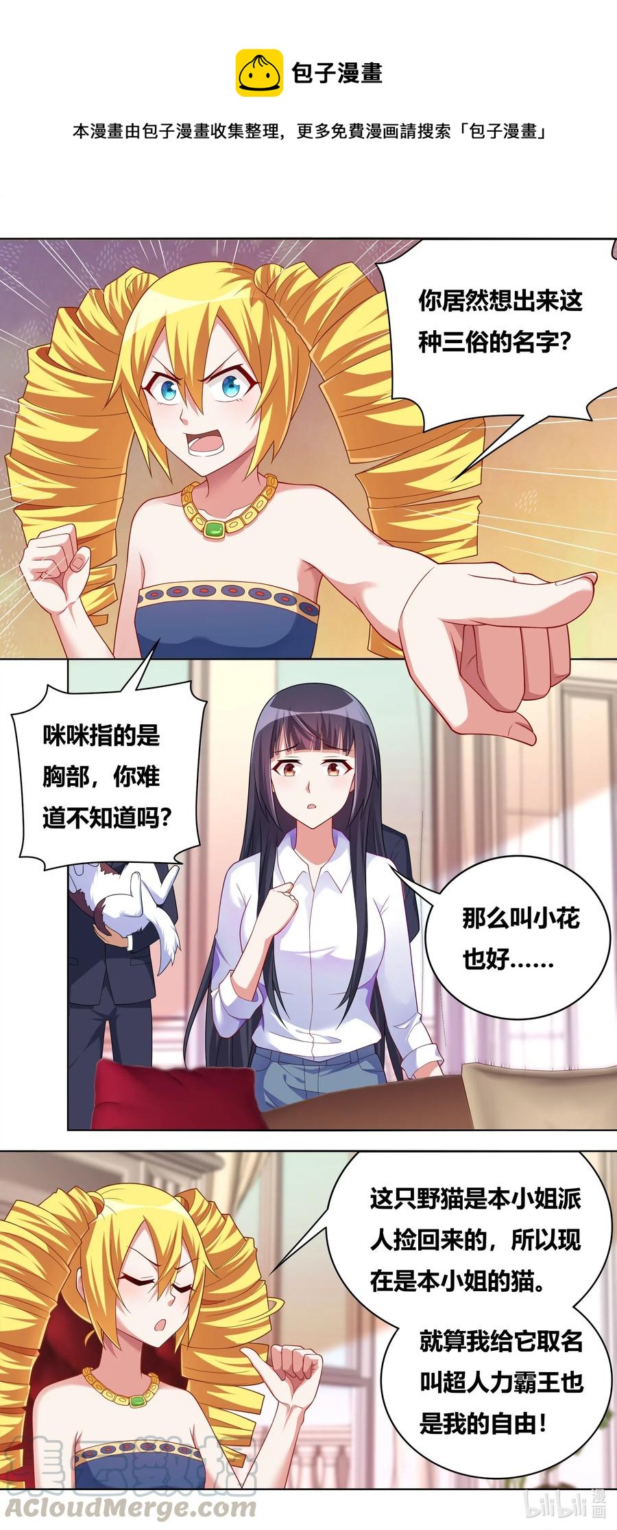 662 猫狗乐园6